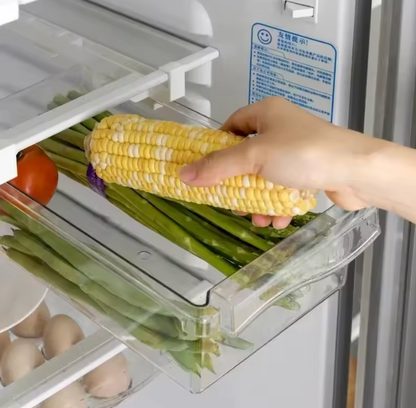 Kühlschrank Organizer Schubladenbox aus ABS & PET – Transparente Aufbewahrungsbox für Obst und Eier